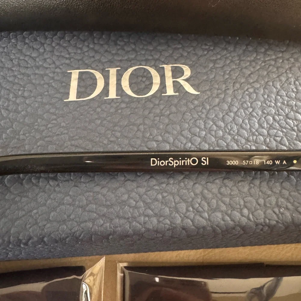 Dior Blue Transparent Eyeglasses